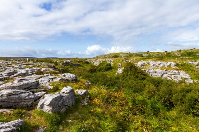 Poulnabrone