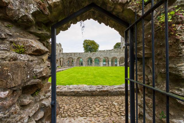 Boyle Abbey