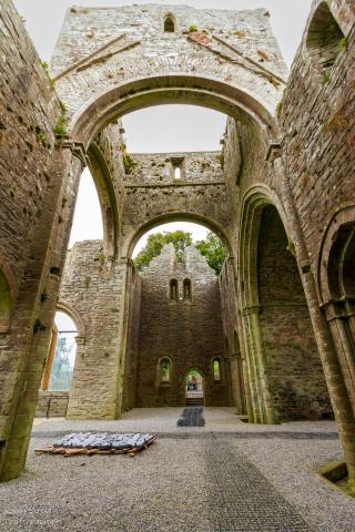 Boyle Abbey