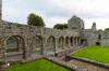 Boyle Abbey