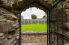 Boyle Abbey
