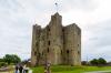 Trim Castle