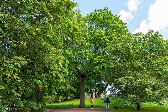 Royal Botanic Garden Edinburgh