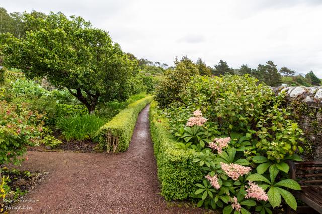 Inverewe Garden