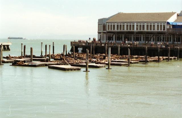 Pier 39