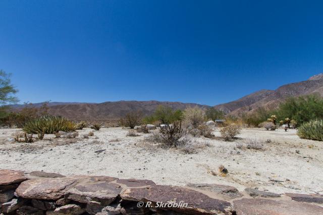 Anza Borrego Desert State Park