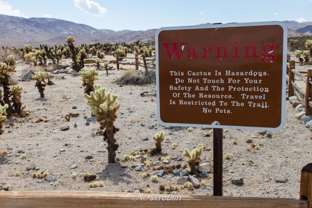 Joshua Tree National Park