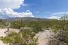 Saguaro National Park East