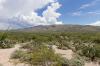 Saguaro National Park East