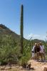 Saguaro National Park West