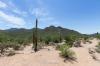 Saguaro National Park West