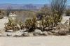 Anza Borrego Desert State Park