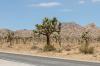 Joshua Tree National Park