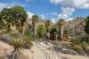 Joshua Tree National Park