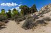 Joshua Tree National Park