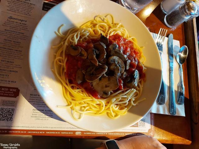 The Old Spaghetti Factory