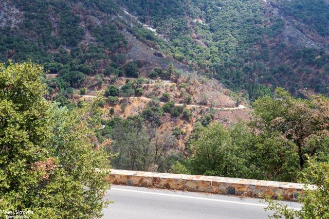 Sequoia National Park