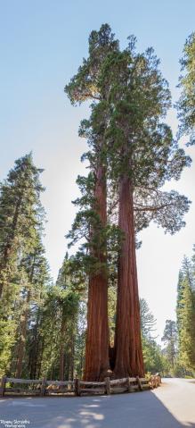Kings Canyon National Park