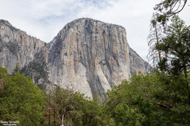 Yosemite National Park