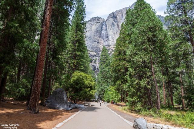 Yosemite National Park
