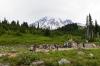 Mount Rainier National Park