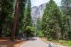 Yosemite National Park